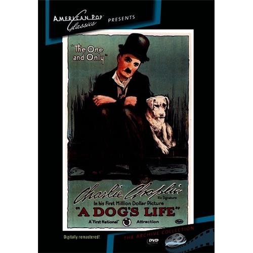 Dog's Life/Dog's Life