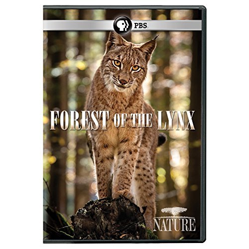 Nature/Forest Of The Lynx@PBS/Dvd@G