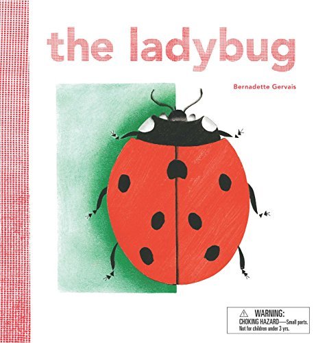 Bernadette Gervais/The Ladybug