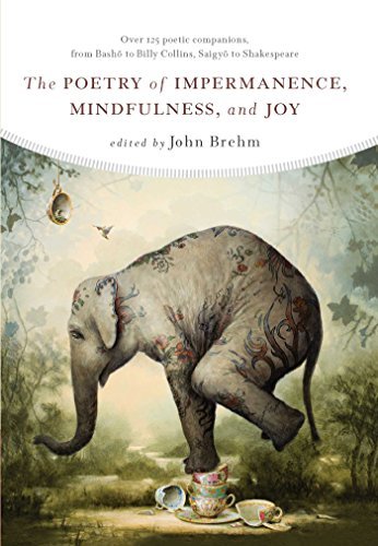 John Brehm The Poetry Of Impermanence Mindfulness And Joy 