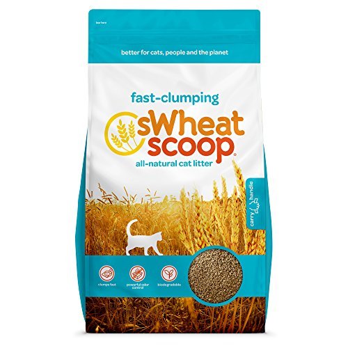 sWheat Scoop Cat Litter - Original Wheat Cat Litter