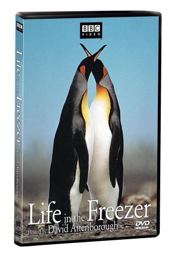 Life In The Freezer/Life In The Freezer@Clr@Nr