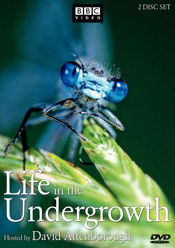 Life In The Undergrowth/Life In The Undergrowth@Nr