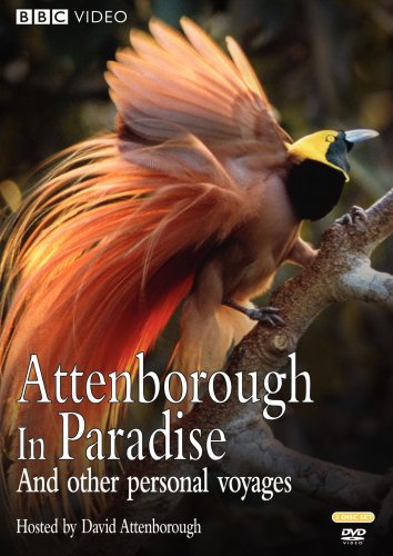 Attenborough In Paradise & Oth Attenborough In Paradise & Oth Nr 2 DVD 