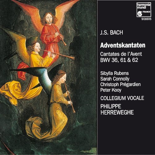 J.S. Bach Advent Cantatas Bwv 36 61 62 Herreweghe Collegium Vocale 