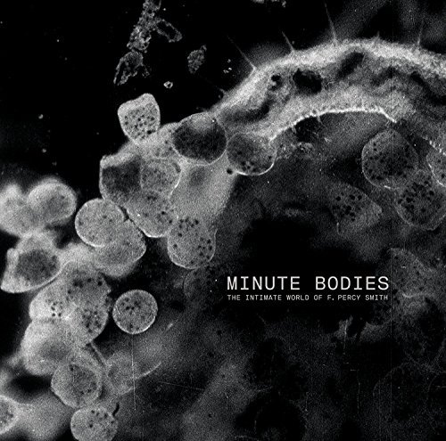 Tindersticks/Minute Bodies: Intimate World@Import-Gbr@Incl. Dvd