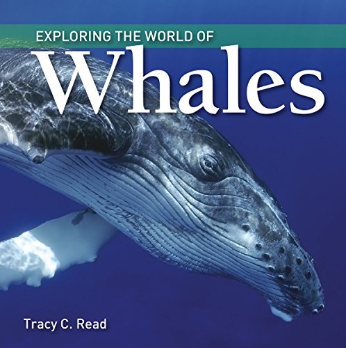 Tracy C. Read Exploring The World Of Whales 