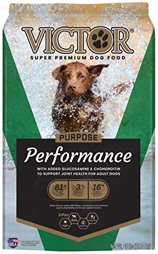 VICTOR Dog Food - Performance