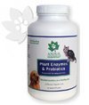 Plant Enzyme & Probiotics, 3.5 oz, Powder