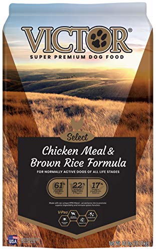 VICTOR Dog Food - Chicken Meal & Rice