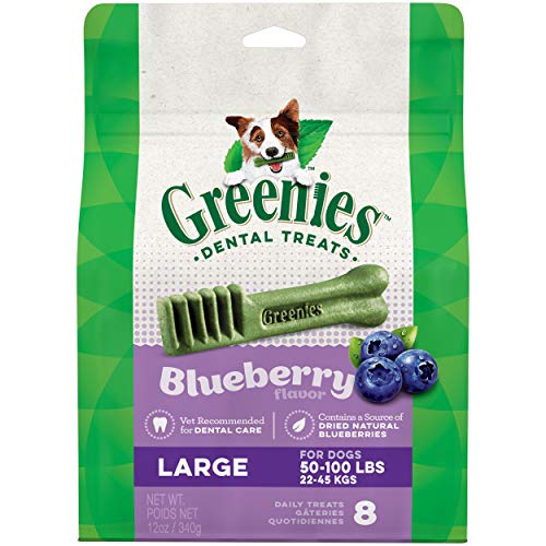 Greenies Bursting Blueberry Dental Chews for Dogs 12oz