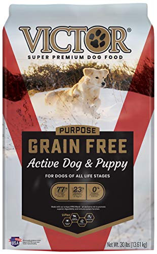 VICTOR Dog Food - Grain Free Active Dog & Puppy