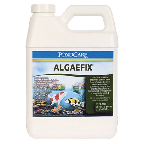 API POND ALGAEFIX Algae Control