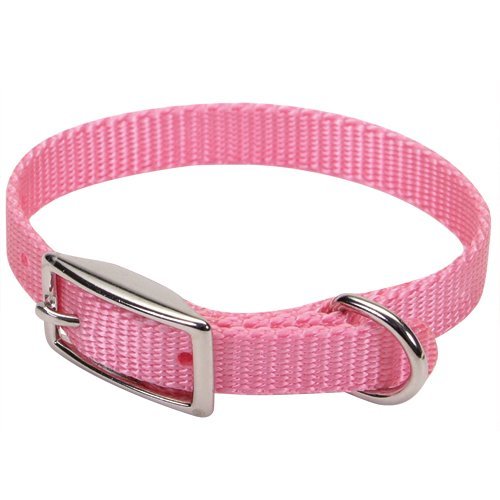 Coastal Single-Ply Dog Collar-Bright Pink