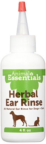 Herbal Ear Rinse, 4 oz, Liquid