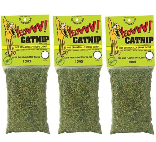 Organic Catnip Bag, 1 oz,