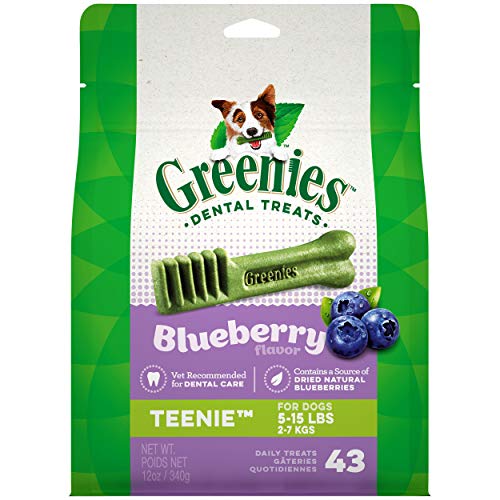 Greenies Bursting Blueberry Dental Chews for Dogs 12oz