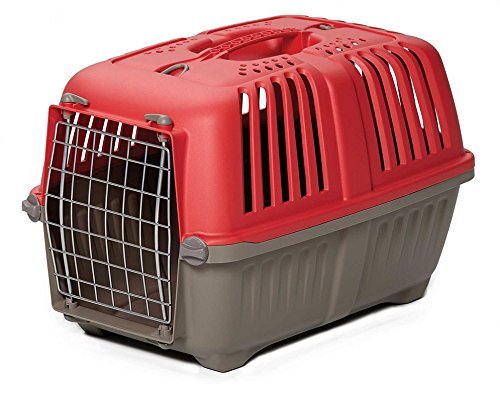 Midwest Spree Plastic Pet Carrier-22"