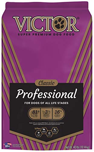 VICTOR Dog Food - Professional