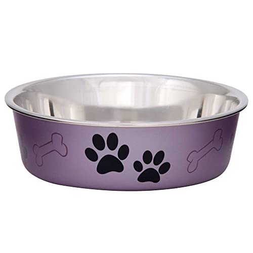 Bella Bowls® Metallic Grape Dog Bowl