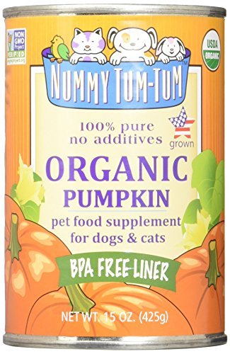 Nummy Tum-Tum Organic Pumpkin in a Can 15 oz.