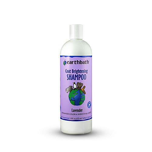 earthbath® Coat Brightening Shampoo-Lavender