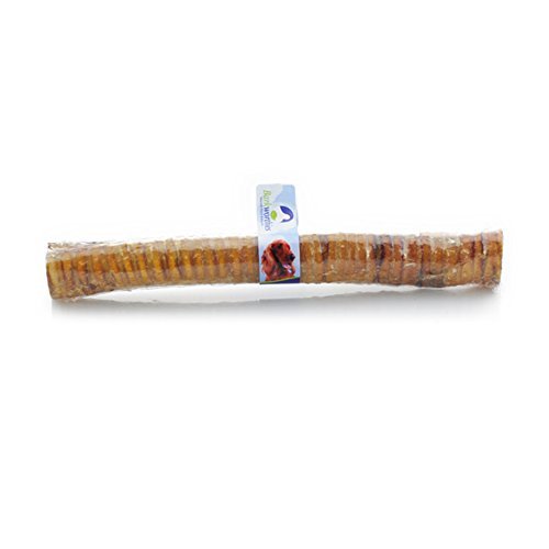 Beef Trachea, 12 in