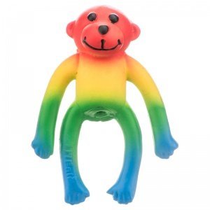 Coastal Lil Pals Dog Toy - Latex Rainbow Monkey