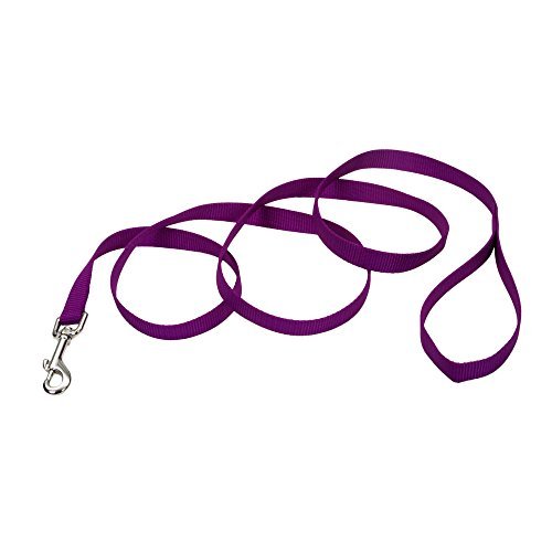 Coastal Single-Ply Dog Leash 1"-Purple