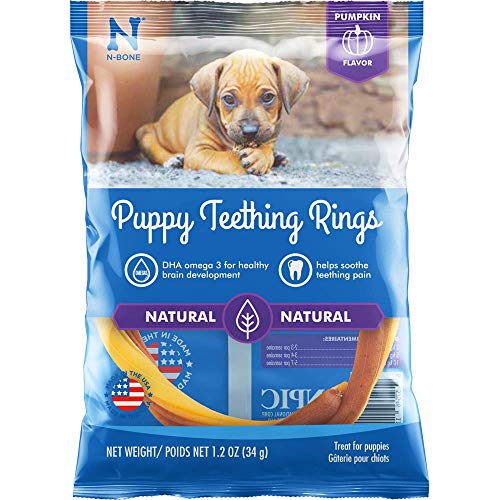 N-Bone® Puppy Teething Rings Pumpkin