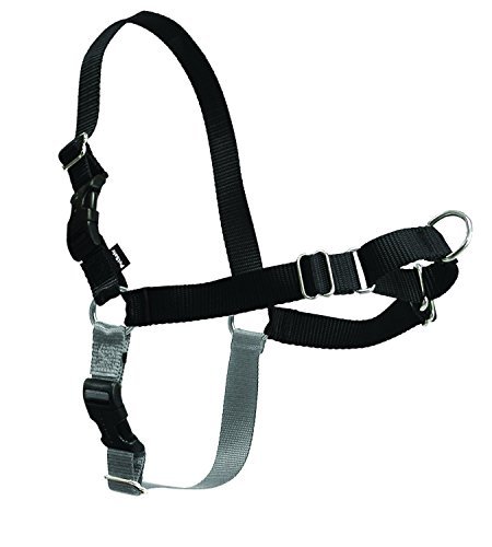 PetSafe Easy Walk No-Pull Dog Harness-Black