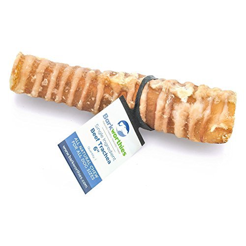 Beef Trachea, 6 in