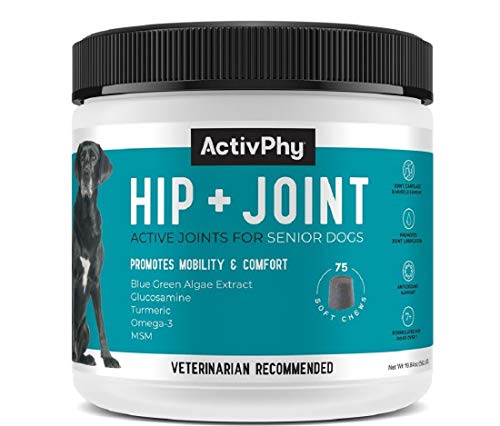 Activphy Hip + Joint Supplement for Dogs Regular