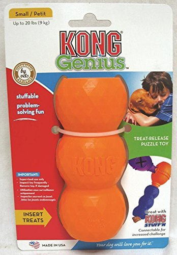 KONG Genius Mike Dog Toy