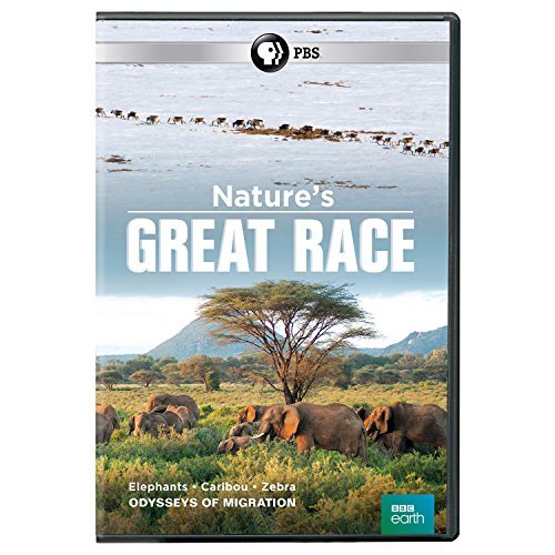 Nature's Great Race/PBS@Dvd