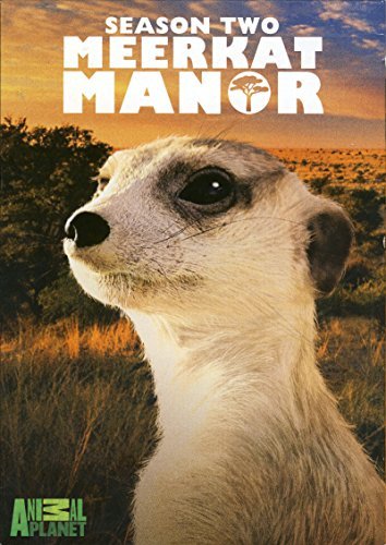 Meerkat Manor/Season 2@Ws@Nr/2 Dvd