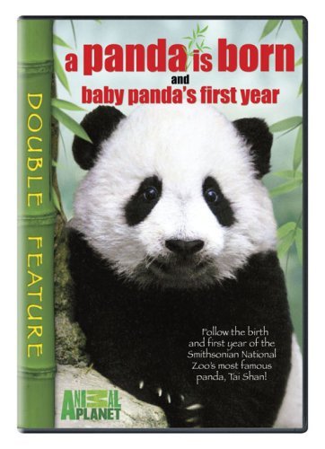 Panda Is Born/Baby Panda's Fir/Panda Is Born/Baby Panda's Fir@Nr