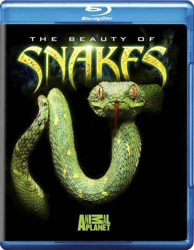 Beauty Of Snakes/Beauty Of Snakes@Ws/Blu-Ray@Nr