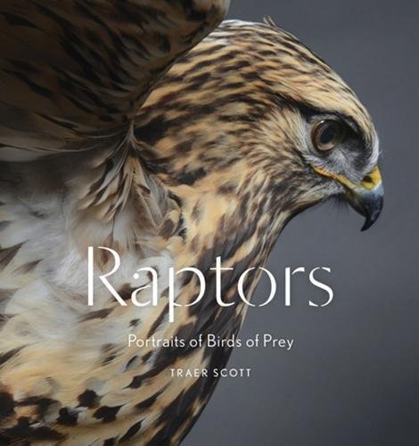 Traer Scott/Raptors@ Portraits of Birds of Prey (Bird Photography Book