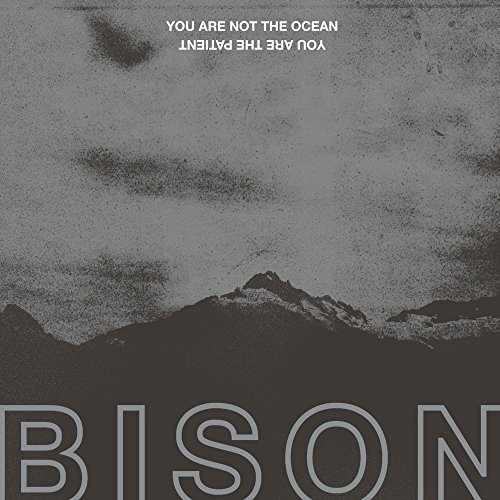 Bison/You Are Not The Ocean You Are@Import-Gbr