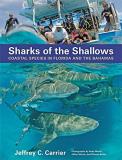 Jeffrey C. Carrier Sharks Of The Shallows Coastal Species In Florida And The Bahamas 