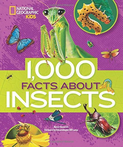 Nancy Honovich/1,000 Facts about Insects