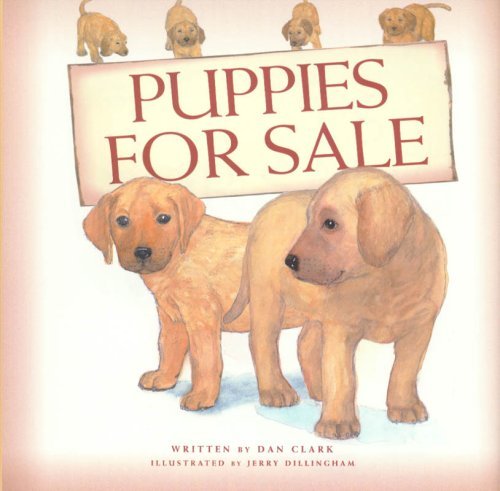 Dan Clark/Puppies For Sale