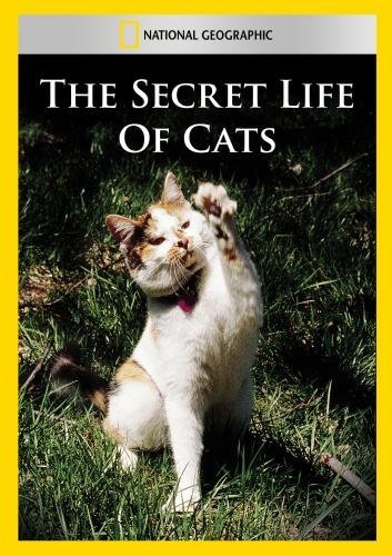 Secret Life Of Cats/Secret Life Of Cats@MADE ON DEMAND@This Item Is Made On Demand: Could Take 2-3 Weeks For Delivery