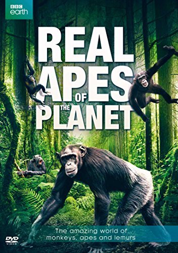 Real Apes Of The Planet/Real Apes Of The Planet