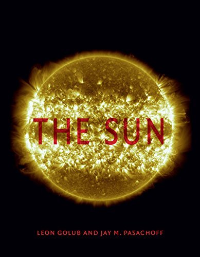 Leon Golub The Sun 