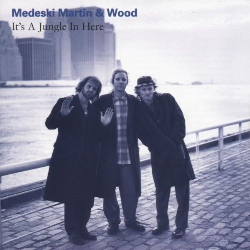 Medeski/Martin/Wood/It's A Jungle In Here