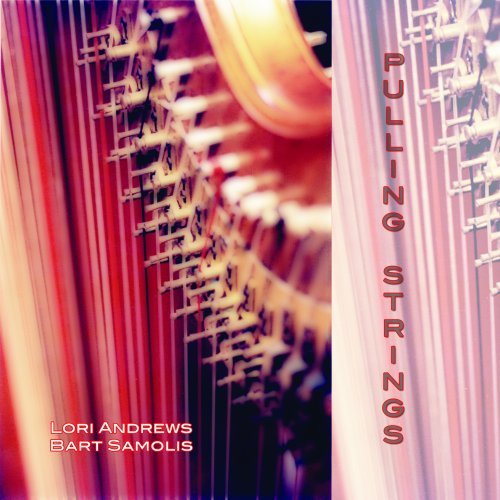 Lori Andrews/Pulling Strings