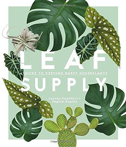 Lauren Camilleri/Leaf Supply@A Guide to Keeping Happy House Plants