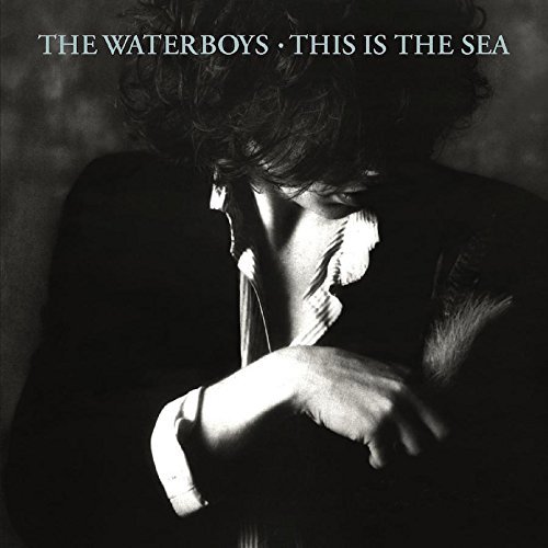 The Waterboys/This Is The Sea